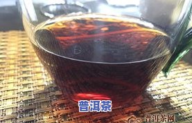 润元昌醉酽之春普洱茶-润元昌普洱茶价格