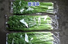 普洱茶竹笋壳：需不需要塑料密封袋？怎样解决虫害、斑点疑问？