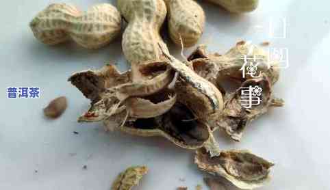 普洱茶竹笋壳：需不需要塑料密封袋？如何处理虫害、斑点问题？