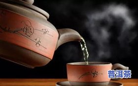 普洱茶煮茶壶：使用方法与图片全解析