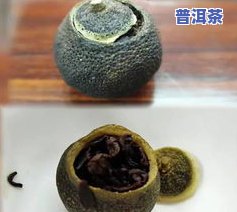 小青柑普洱茶泡法图片高清大全及视频教程