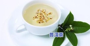 肠胃不好能喝茶叶吗-肠胃不好能喝茶叶吗?