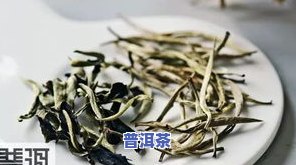 普洱茶毛料是什么意思？详解毛茶原料与图片