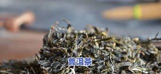 入手普洱茶-入坑普洱茶