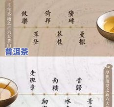 普洱茶价值情怀-普洱茶的情怀