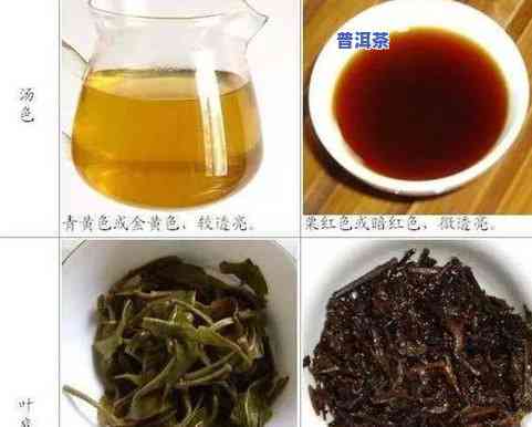 熟普洱茶是越陈越好吗-熟普洱茶是越陈越好吗为什么