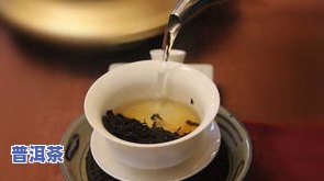 问专家：普洱茶正确冲泡方法是什么？