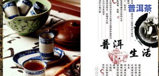 最新本源普洱茶价格信息，一网打尽！