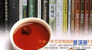 普洱茶6656的意思解析：7566与6561的区别