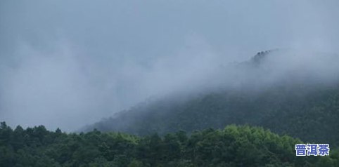 普洱茶山头排名-普洱茶山头排名前十名