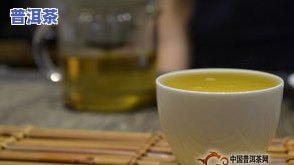 普洱茶66-普洱茶6656是什么意思