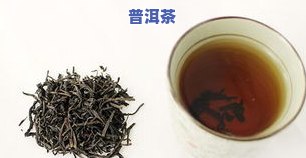 如何用普洱茶快速减肥？教你有效瘦身方法！