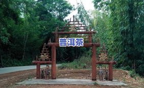 南糯山熟普洱茶价格：口感、饼价与市场行情全解析