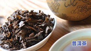 天允普洱茶：2008生茶400克与2001年古树熟茶的价格及口感评价