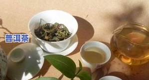 茶叶不能一直泡水：原因解析