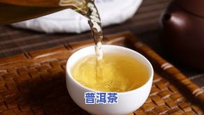 冰岛古树茶与冰岛普洱茶有何不同？口感特点、种类及价格全解析