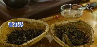 冰岛古树茶与冰岛普洱茶有何不同？口感特点、种类及价格全解析