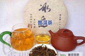 冰岛古树茶与冰岛普洱茶有何不同？口感特点、种类及价格全解析