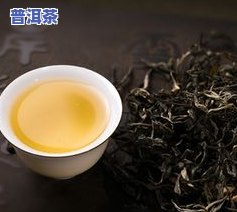 冰岛古树茶与普洱茶区别-冰岛古树茶与普洱茶区别在哪