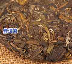 冰岛古树茶与普洱茶区别-冰岛古树茶与普洱茶区别在哪