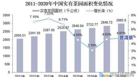 广州茶叶场大全：地址、规模一网打尽！