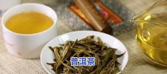 冰岛普洱生茶的功效：全面解析其作用与禁忌