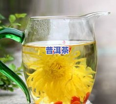 菊花茶普洱的功效与作用全解析：详解其益处、禁忌及适用人群