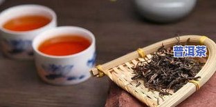 丹青普洱茶：价格详解与品种介绍