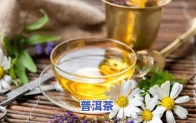 菊花茶加普洱茶：功效、可喝性及减肥效果全解析