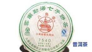 云洱普洱茶的创业条件怎样？探讨云南云洱茶业的经营策略与市场前景