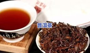 云洱普洱茶的创业条件怎样-云洱茶叶