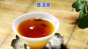 如何选择最适合冲泡普洱茶的器具？详细教程与实例分析