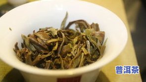 可以称大白菜的普洱茶：普洱茶行业的传奇之作