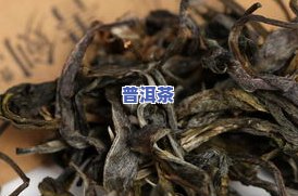 艾草普洱茶泡脚可以一起泡吗？功效、方法及留意事项全解析