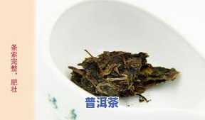 嘉普洱茶-加嘉普洱茶