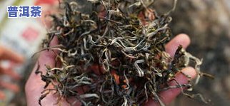 喝普洱茶能口腔溃疡吗-喝普洱茶能口腔溃疡吗