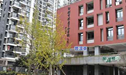 成都更大茶叶市场排名：榜首位置揭晓，前十大市场地点一览