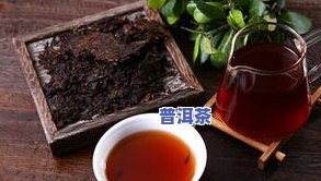 96年大益绿印普洱茶-大益绿印什么时候产的