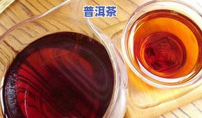 蜂蜜茉莉花普洱茶做法视频大全：从入门到精通！