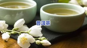 蜂蜜茉莉花普洱茶做法视频-蜂蜜茉莉花普洱茶做法视频大全