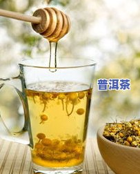 全面解析：蜂蜜茉莉花茶的功效、作用与禁忌