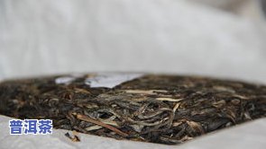 生态普洱茶树管理：最新方法与含义全解