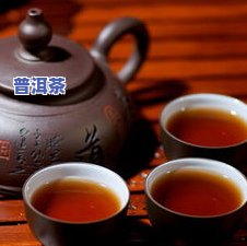 普洱茶制茶大师李子晖简介及高清图片全览