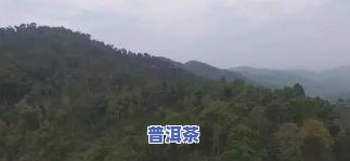 新六山普洱茶价格及图片-新六山普洱茶价格及图片及价格