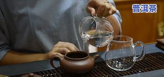 普洱茶讲座视频教程：深入理解普洱茶的知识与冲泡技巧