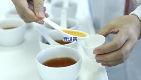 比较出名的茶叶有哪些？盘点更受欢迎的茶品