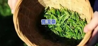 最有名气的茶叶排行榜：哪些最出名？