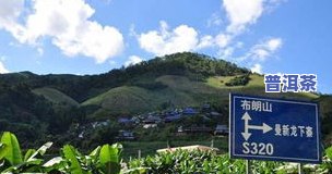 勐库镇十八寨茶厂：电话、地址、招聘信息全览