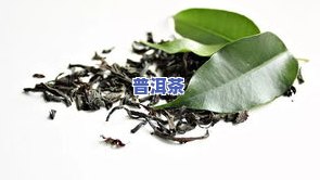 普洱茶绘画图片大全：简单易学的素材与教程