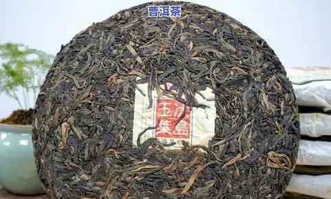 冰岛黄金砖普洱茶的老大-冰岛黄金砖普洱茶价格